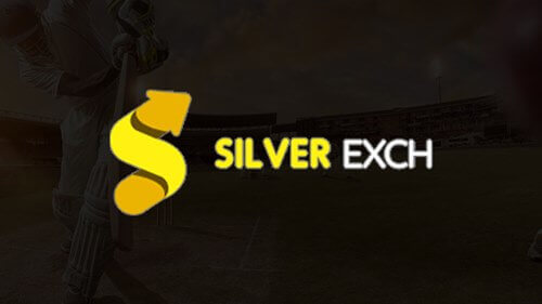 Silver exch Logo