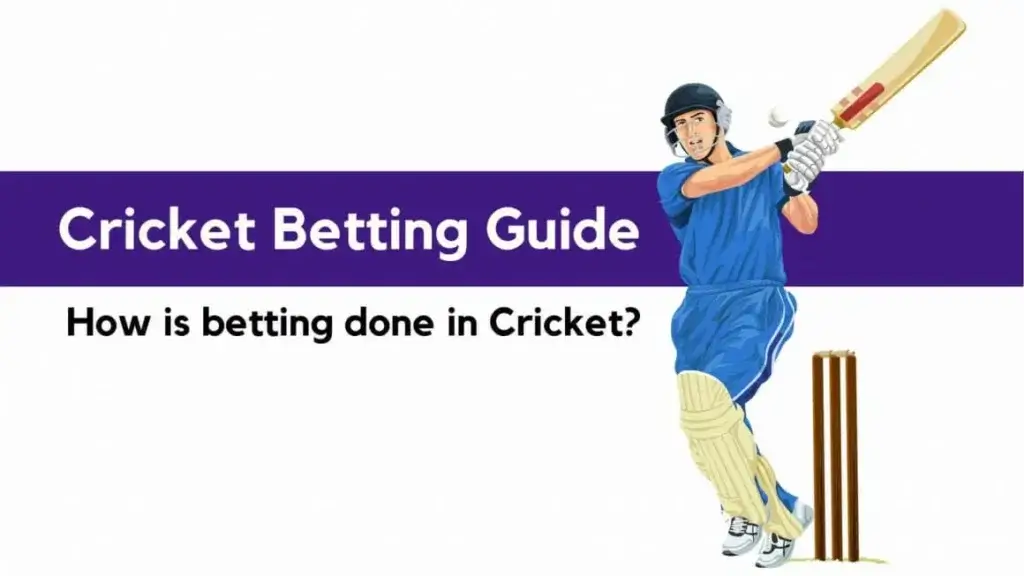 Guide on How to Become a Cricket Bookie in India